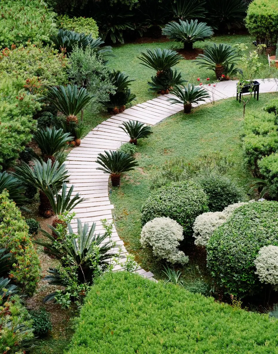 A curved paved path winding through a subtropical garden of cycads and clipped shrubs.