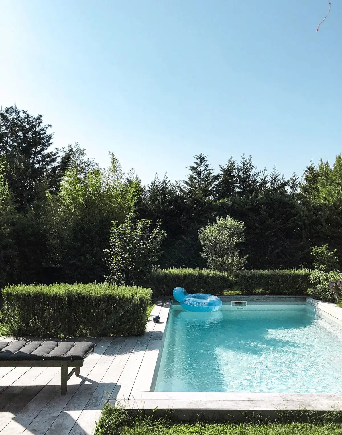 A rectangular pool with stone coping, a timber deck and clipped hedges around the edge.